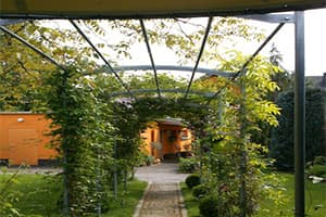 Garten 4